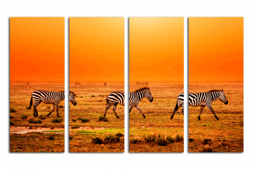 Модульная картина Африканские зебры