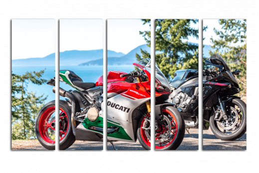 Модульная картина Мотоцикл Ducati