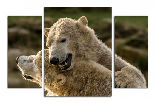 Модульная картина Полярный медведь